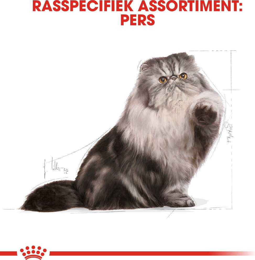 Royal Canin kattenvoer Persian adult 400 g