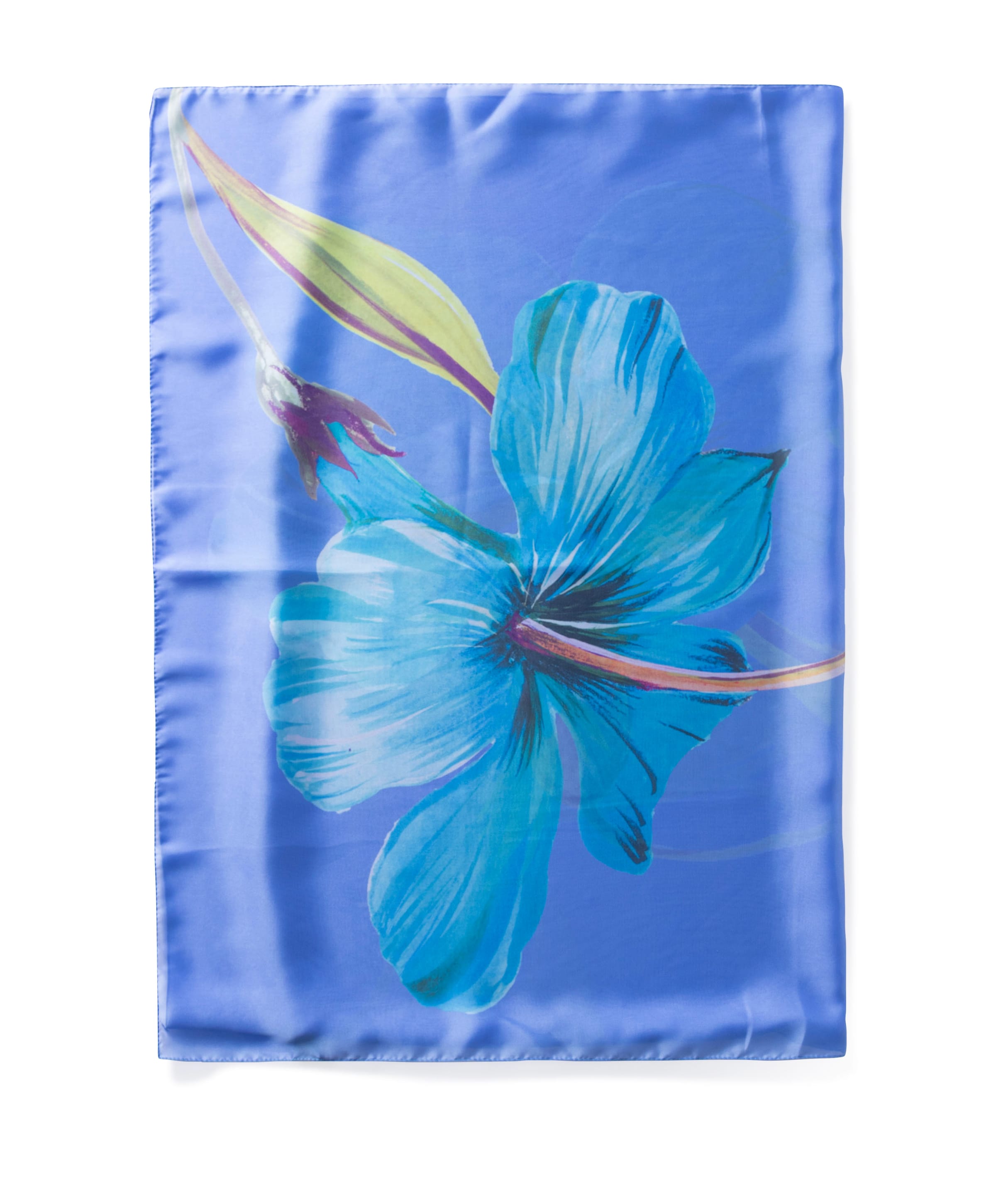 Casa de Sciarpa Dames sjaal blauw