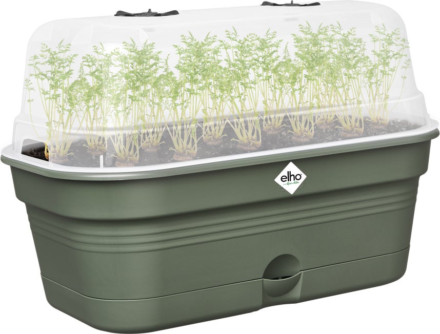 Elho kweekbak Green Basics groen 32 x 18 x 13,2 cm