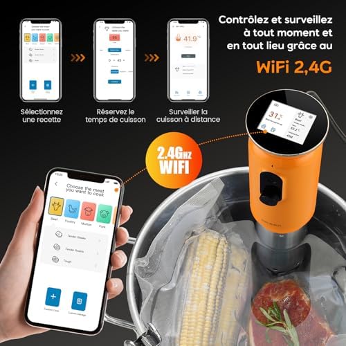 INKBIRD WiFi Thermoplongeur Sous Vide ISV 101W, Cuisson Basse Température 1000W: Écran TFT, Cuisson De Réservation App, Protection Du Niveau D'eau, Avertissement De Température, 0℃~95℃, Réglable 0,1℃ : Cuisine et Maison
