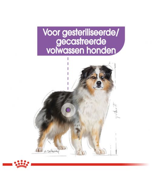 Royal Canin Sterilised Medium - Hondenvoer