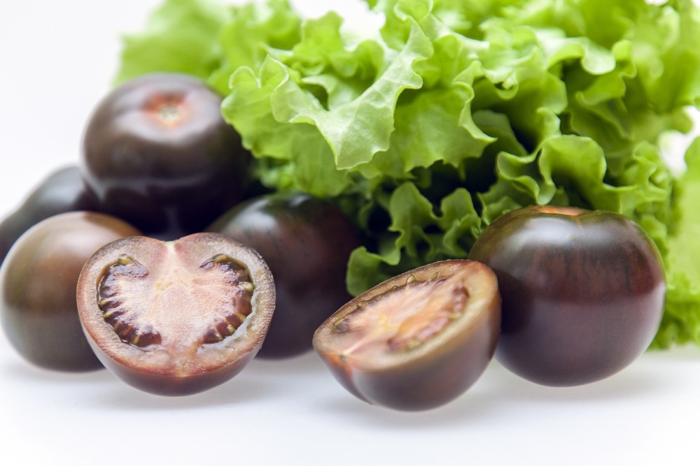 Bio - tomate - cerise noire - 10 graines - avec substrat - solanum lycopersicum