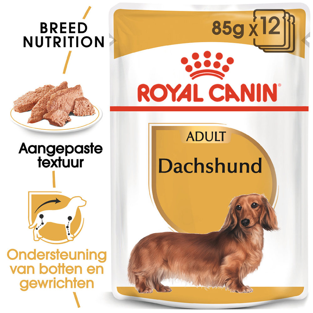 Royal Canin Dachshund Adult Wet - Hondenvoer