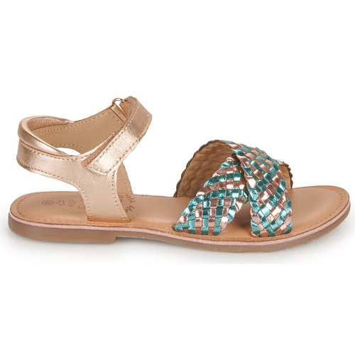 Mod'8 - CANIBRAID - Doré / Turquoise