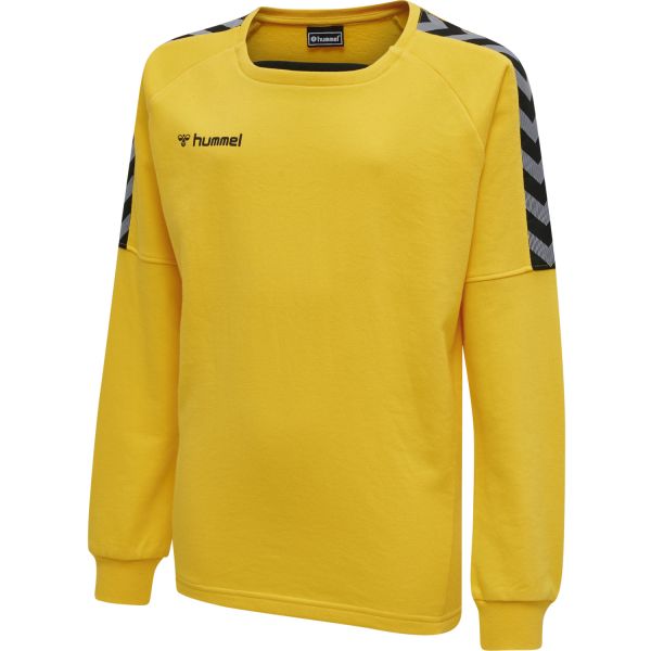 Hummel Sweatshirt Authentic Training Sweat 205374-5001 XL (165-176 cm) Amarelo