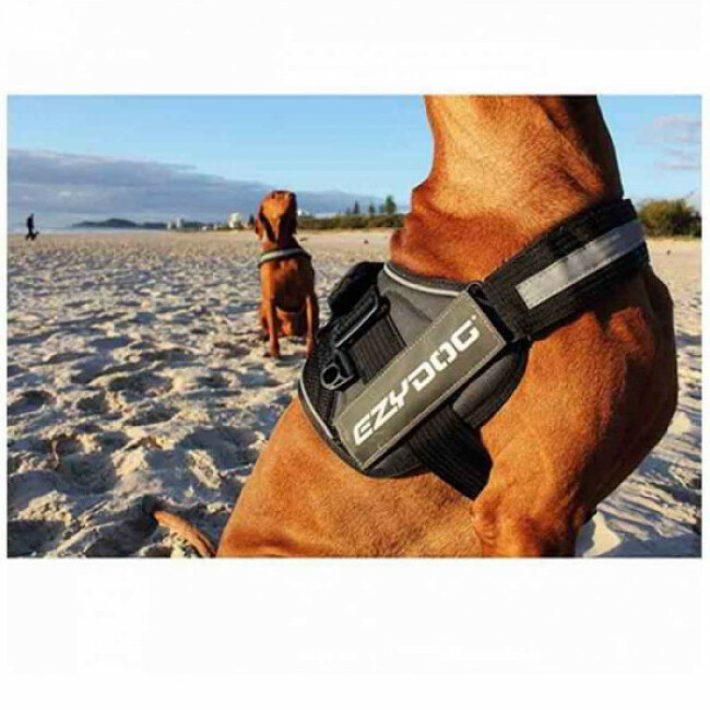 Harnais Ezydog Convert pour chien