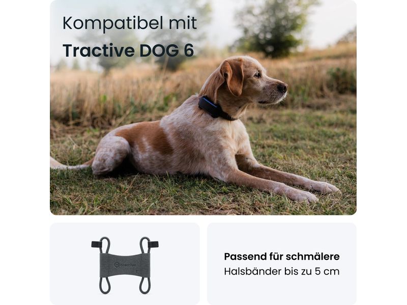 tractive GPS-Tracker Dog 6 Textilklammer S 2 Stück Textilklammern für Hundehalsbänder