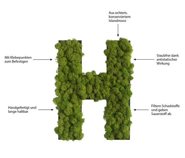 styleGREEN Buchstaben aus Islandmoos, ca. H25