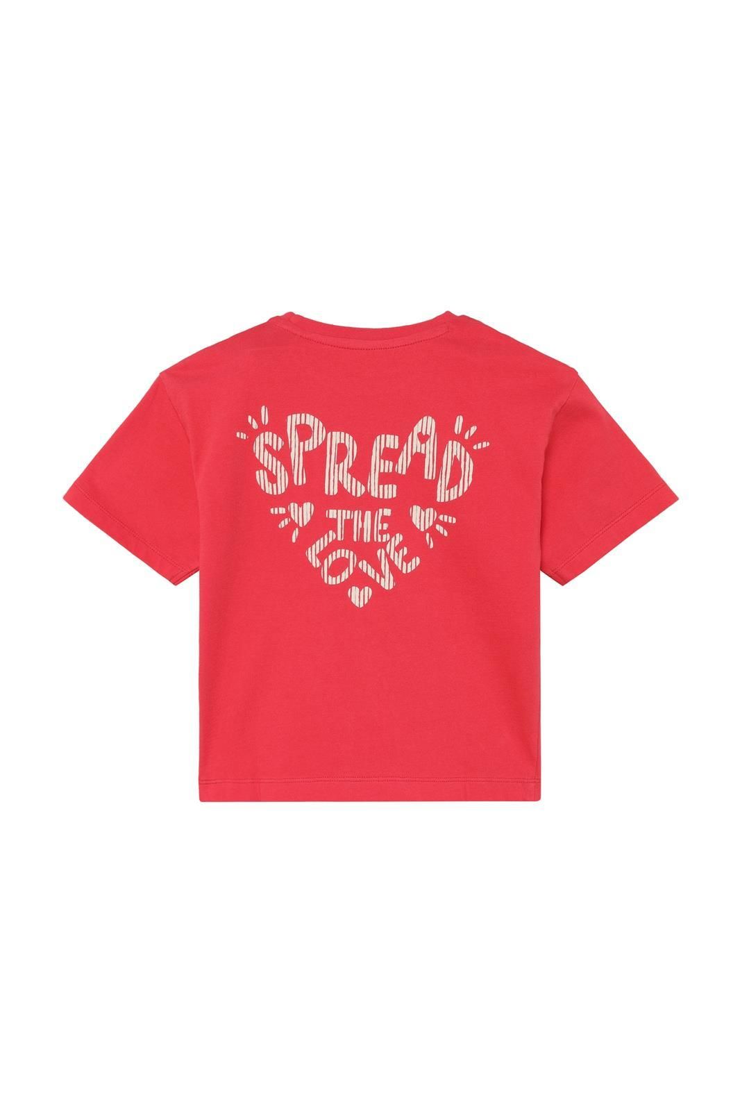 Noppies Kids T-shirt - Backprint - Poinsettia