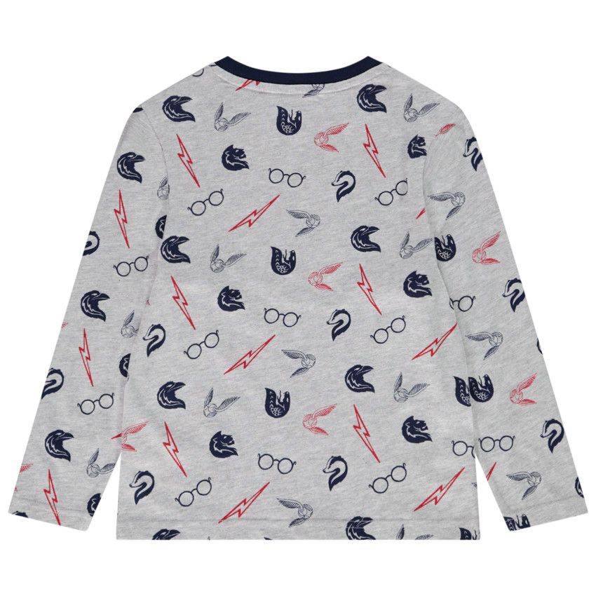 T-shirt manches longues en jersey imprimé Harry Potter pour garçon - Gris chiné