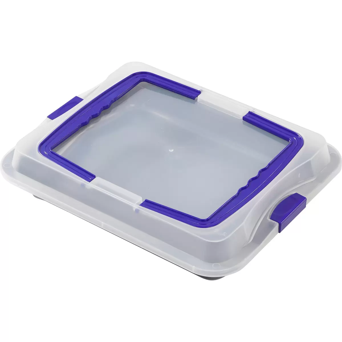 Kuchentransportbox Fee Luca Bessoni blau,weiss