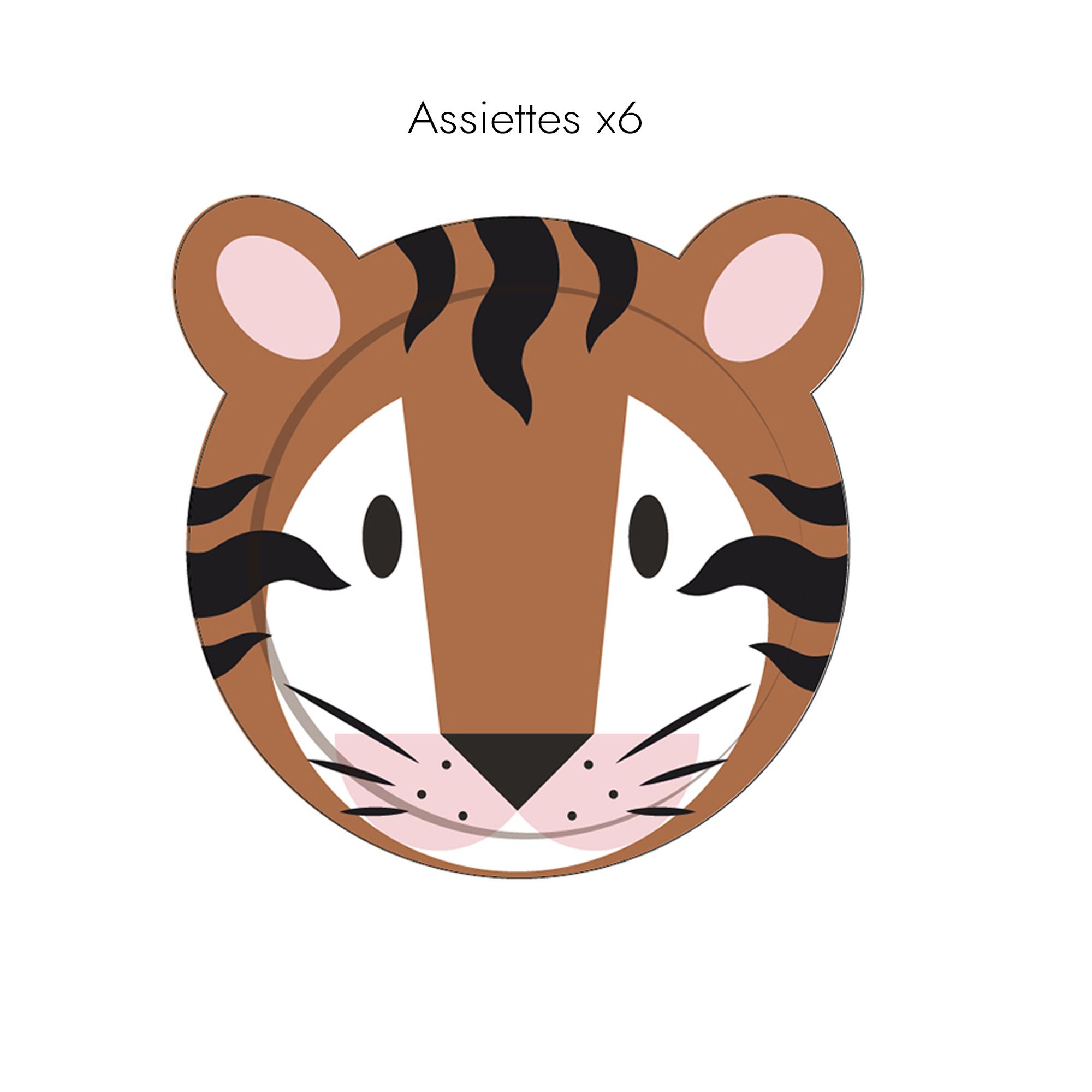 BOITE ANNIVERSAIRE SAVANE 55 PIECES