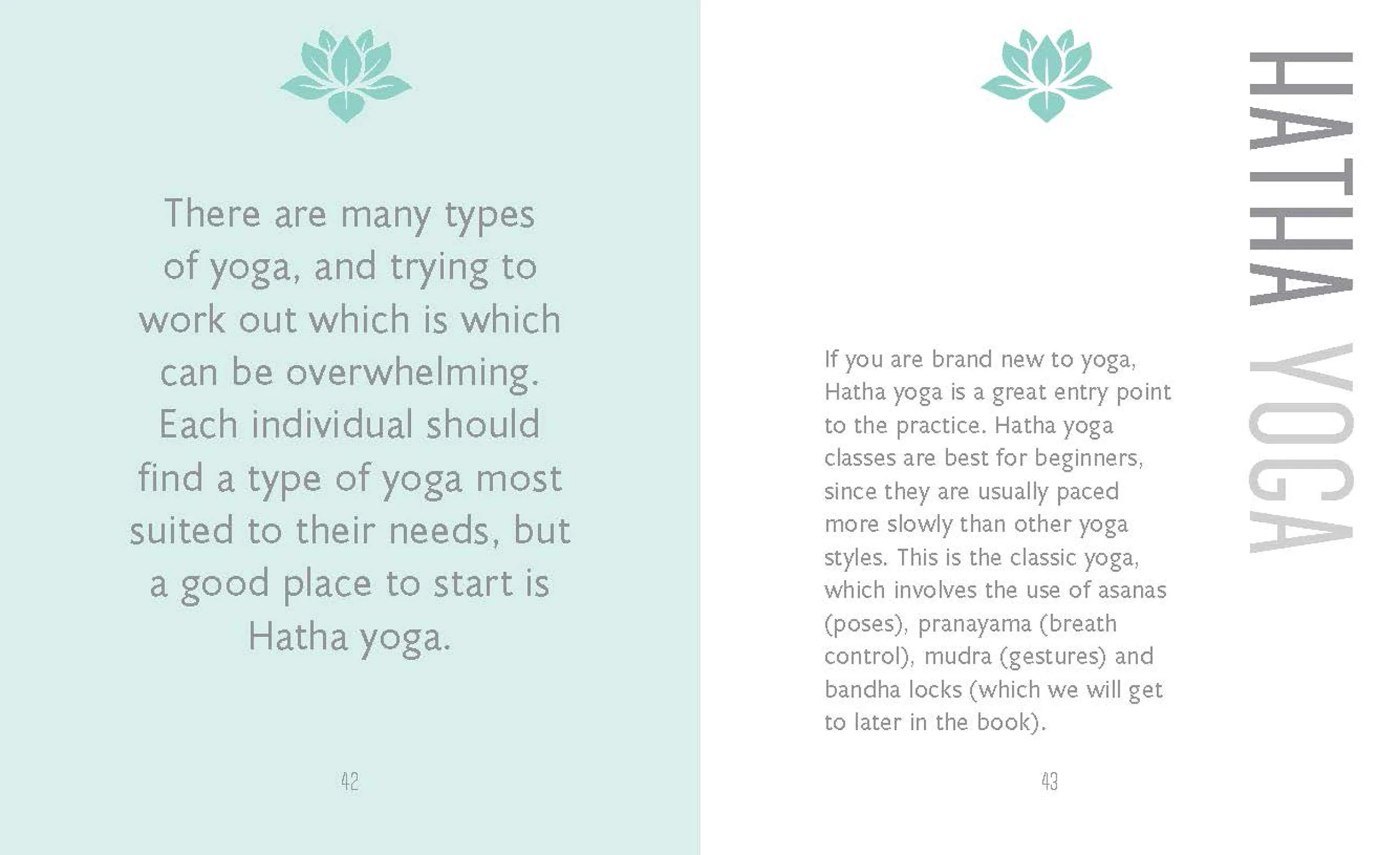 New Mags  The Little Book of Yoga bog