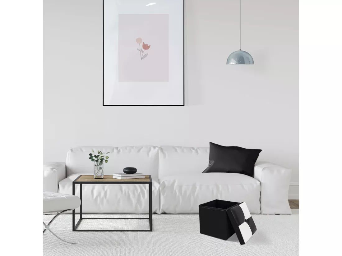 Pouf Coffre de Rangement Carre Synthétique Blanc Noir Contemporain 30x30x30