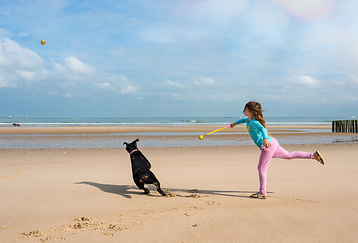 Lance avec balle pour chien Sunset L vert