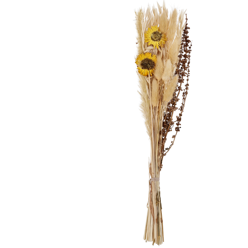 EGLO Trockenblume Caraquet, 45 cm, braun