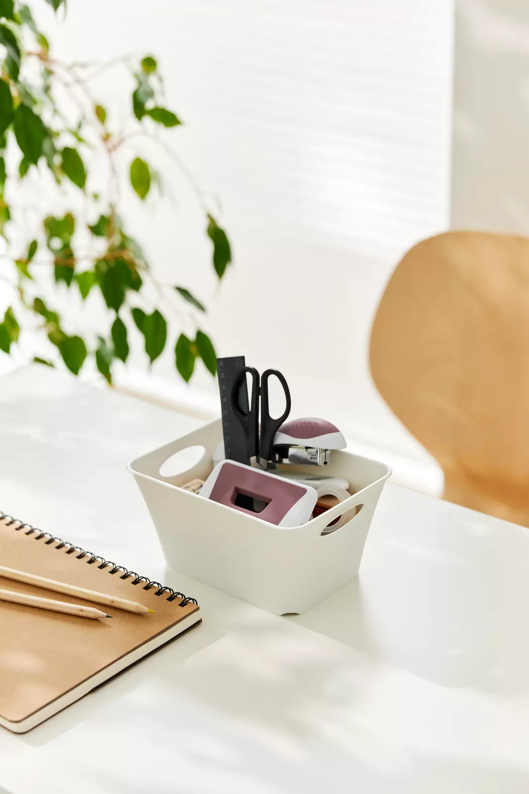 Aufbewahrungsbox Living 1,5l