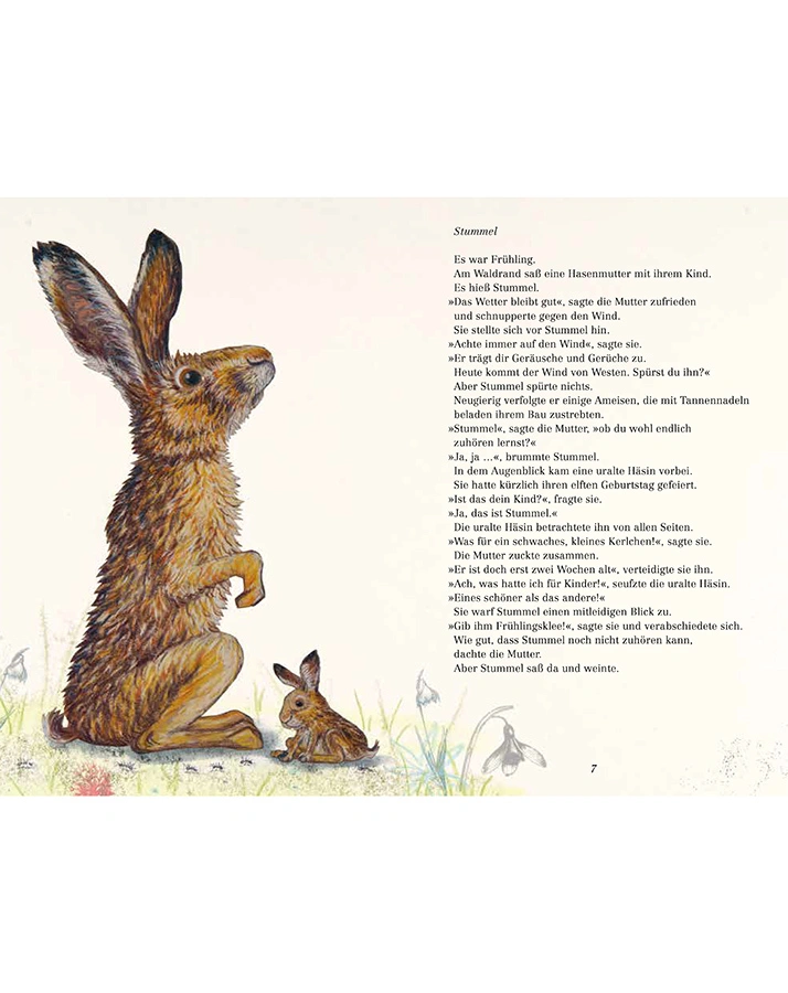Stummel - Ein Hasenkind wird groß