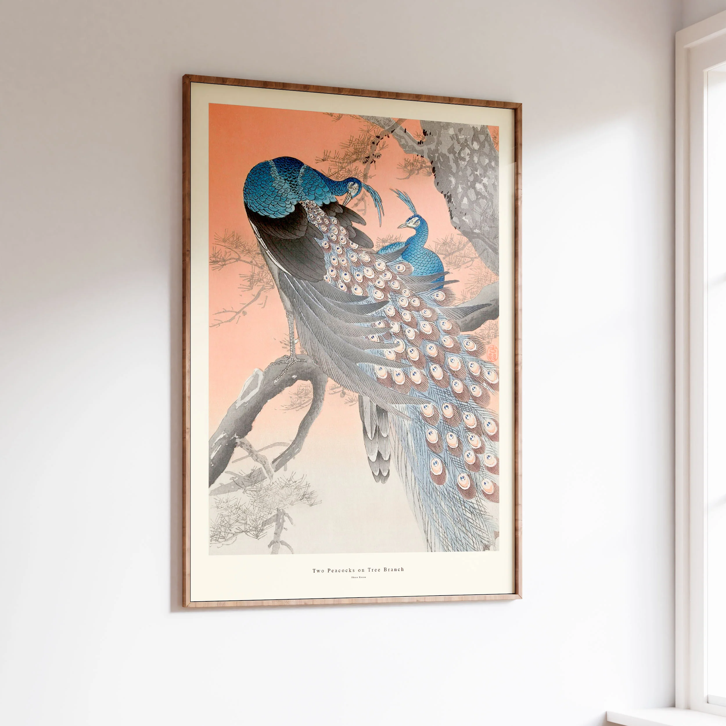 Poster & Frame  Two Peacocks On Tree Branch plakat - mix