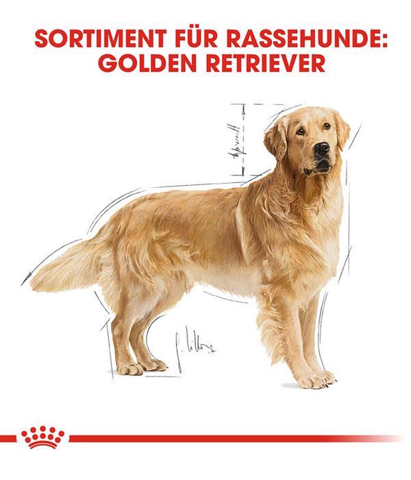 ROYAL CANIN® Trockenfutter für Hunde Golden