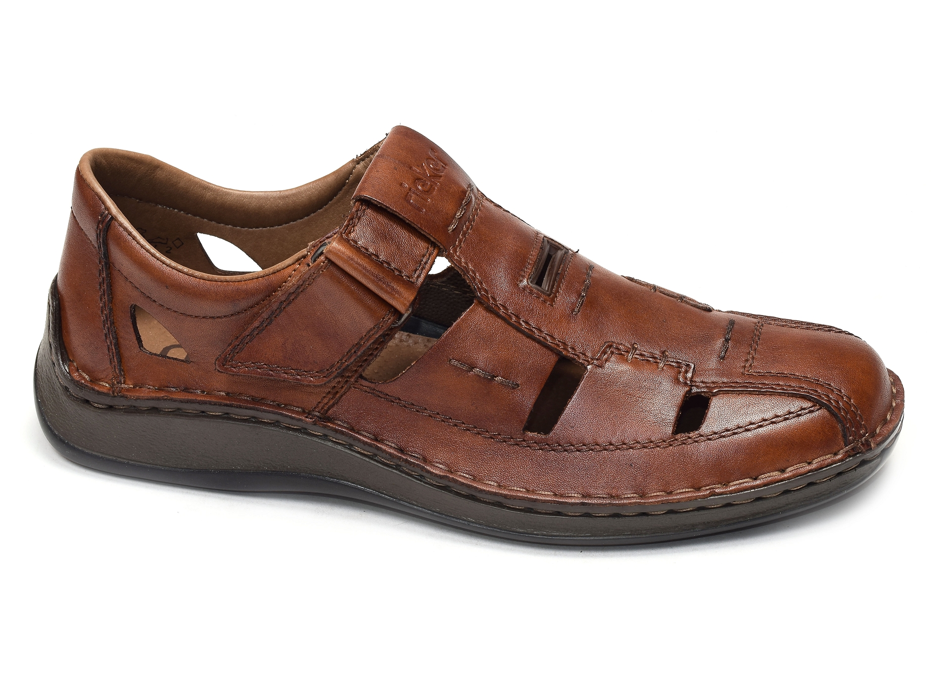 05284 camel