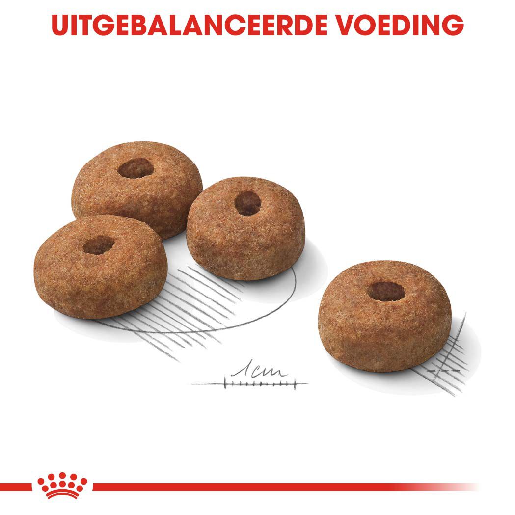 Royal Canin Maxi Sterilised - Hondenvoer - 3 Kilogram - gevogelte