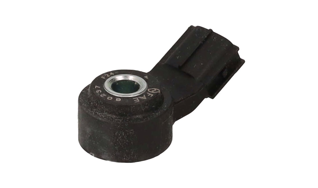 Bankesensor