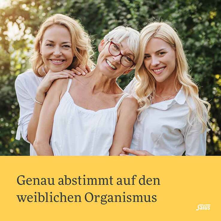 Salus Stilltee Bio Filterbeutel, 15 St