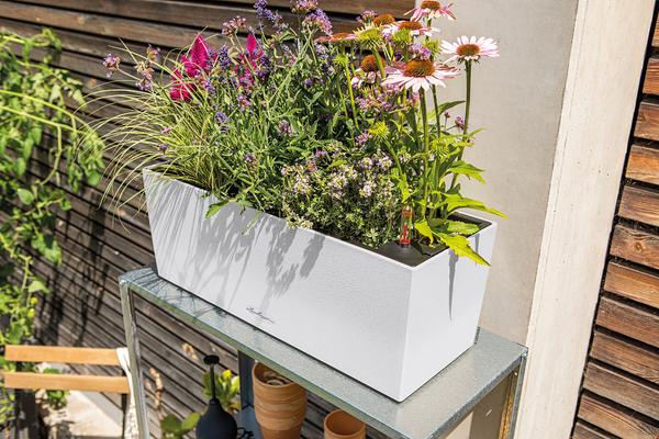 LECHUZA® Kunststoff-Kasten Balconera Stone,