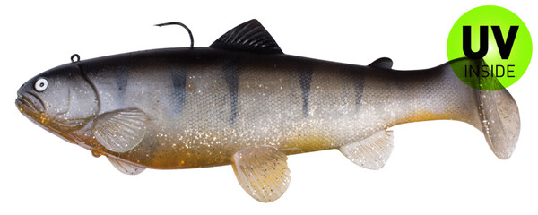 Castaic Swimbait Trout