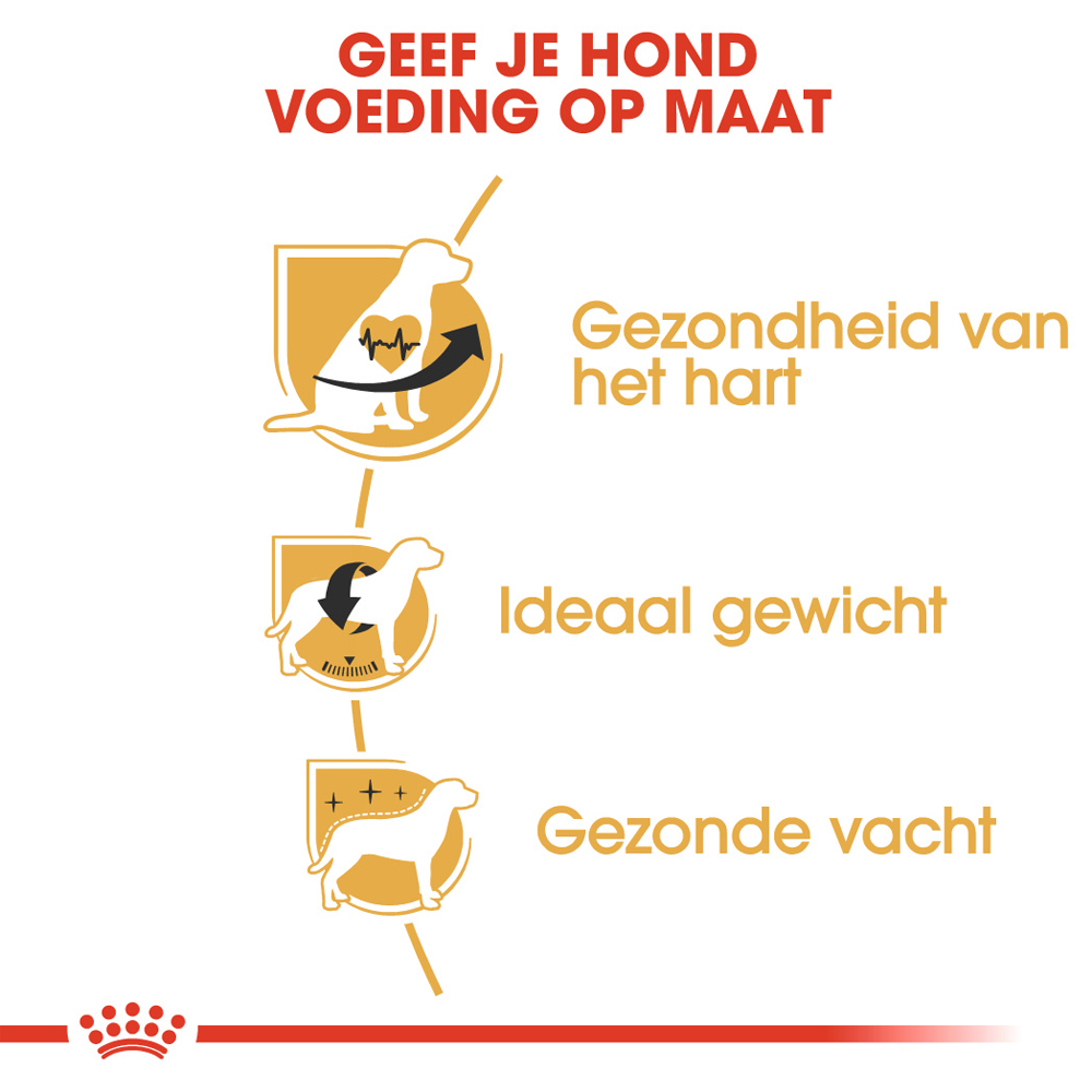 Royal Canin Cavalier King Charles Adult - Hondenvoer