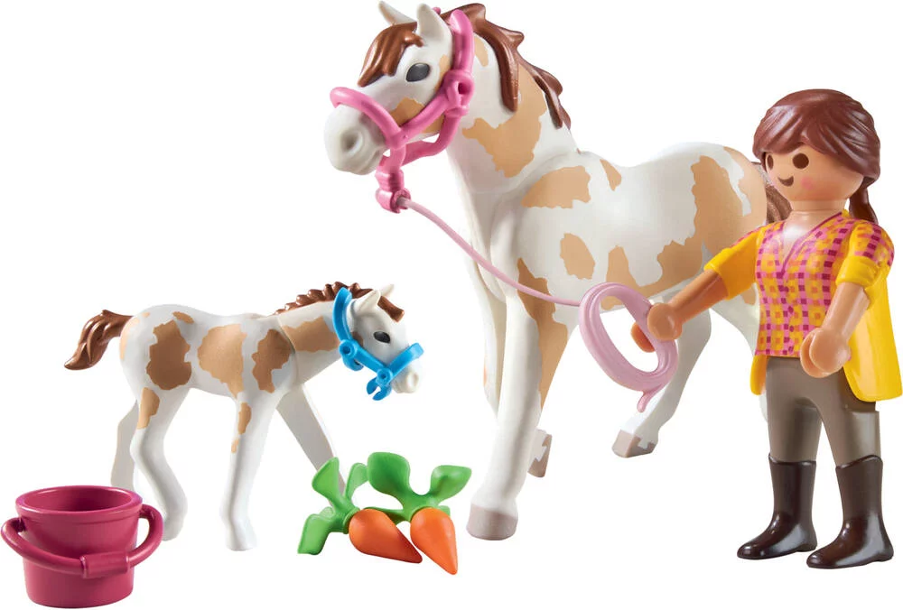 COUNTRY - JUMENT ET POULAIN - 71243