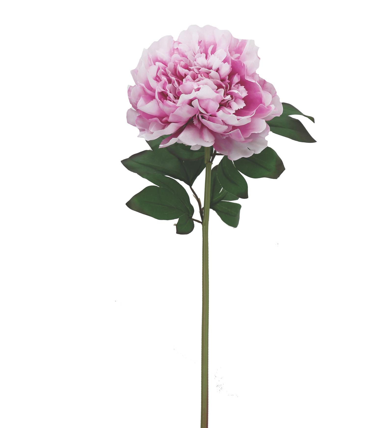 BRANCHE PIVOINE H.70CM FUCHSIA