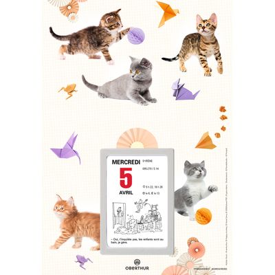 Oberthur - Plaque nova avec bloc éphéméride illustrée - 18 x 26 cm - disponible dans différents modèles