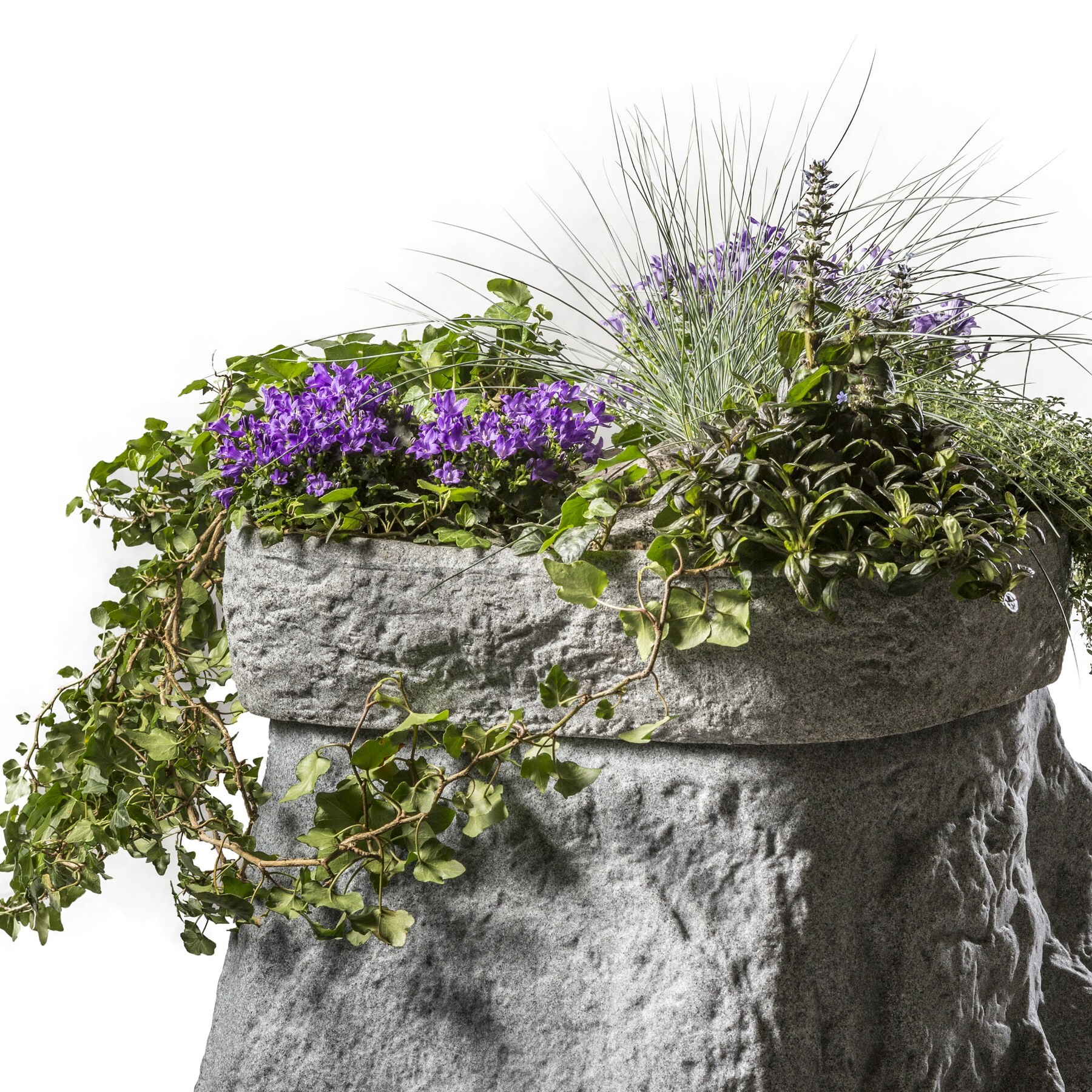 GreenLife Pflanzschale für den Dekor-Regenspeicher 