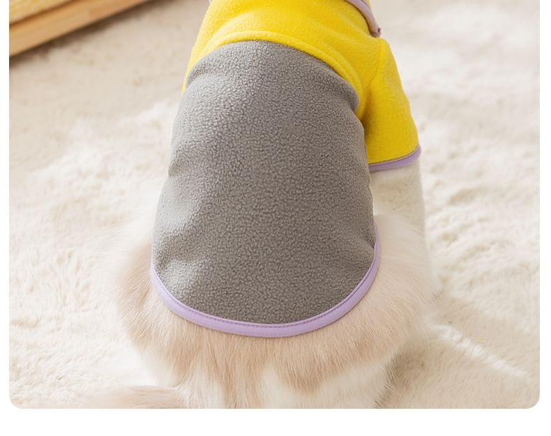 Cissilli - Color Block Pet Top
