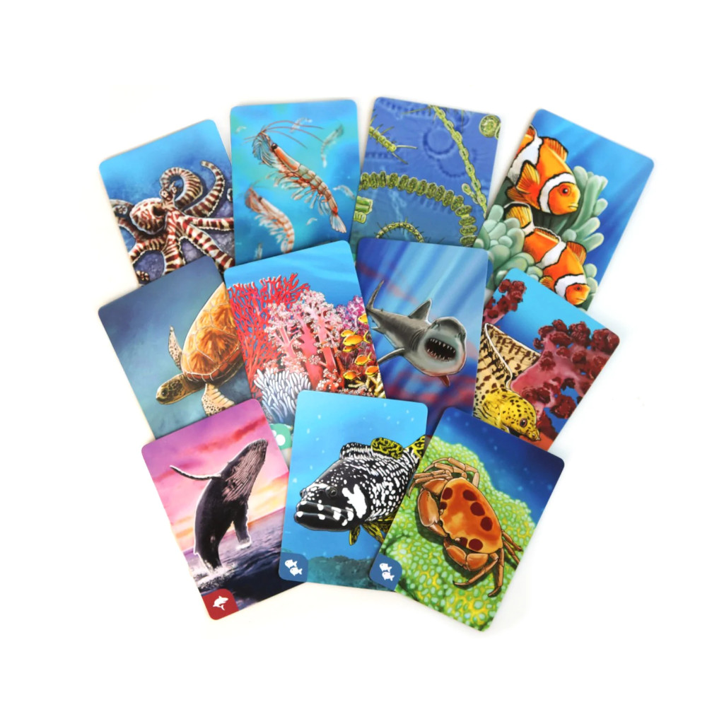 Ecosystem - Coral Reef