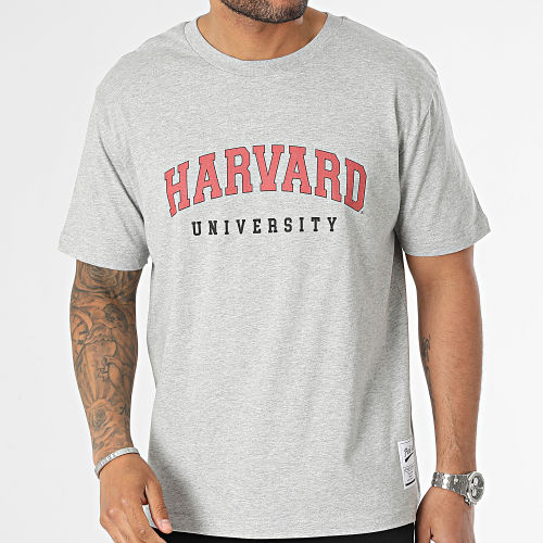 Tee Shirt Oversize Large Harvard Gris Chiné Blanc