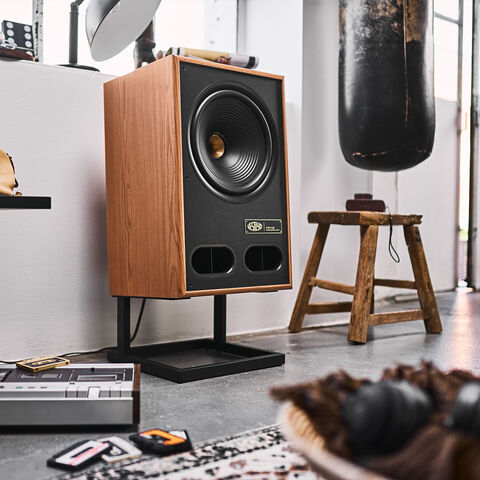 Koop Bluesound POWERNODE (N330)   Vestlyd V12C Stereosysteem voor TV | 5 Jaar Garantie