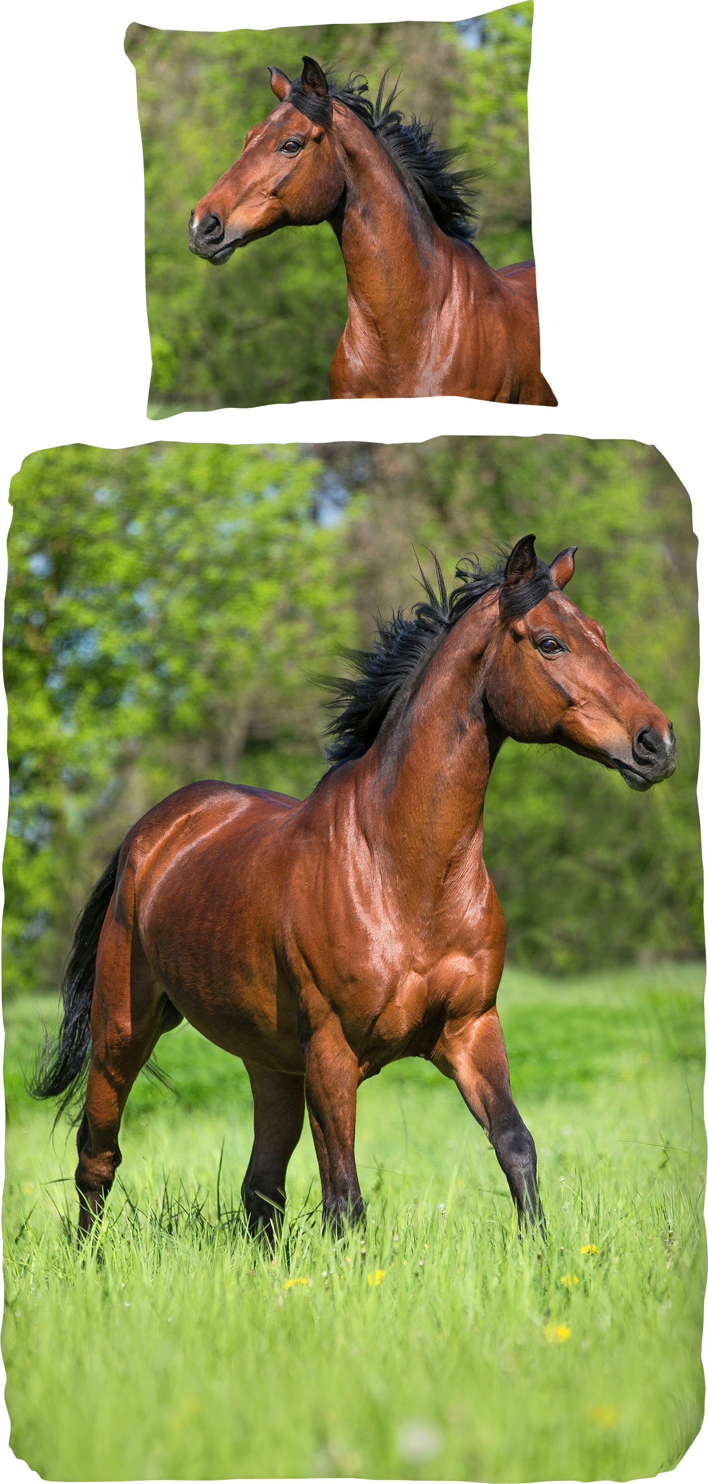 good morning Kinderbettwäsche »Running horse« 2 Stk. tlg. Baumwolle, 135x200, 2 Teilig, Reissverschluss, Kind, Mädchen, Pferd