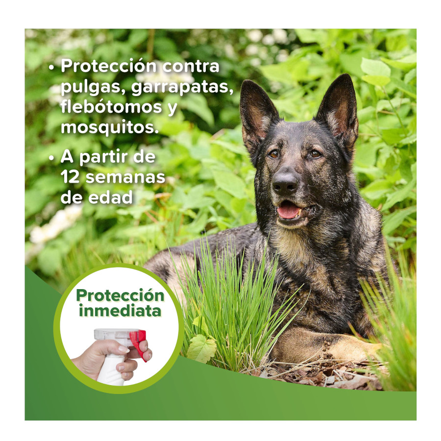 Loção repelente para cães e gatos Beaphar