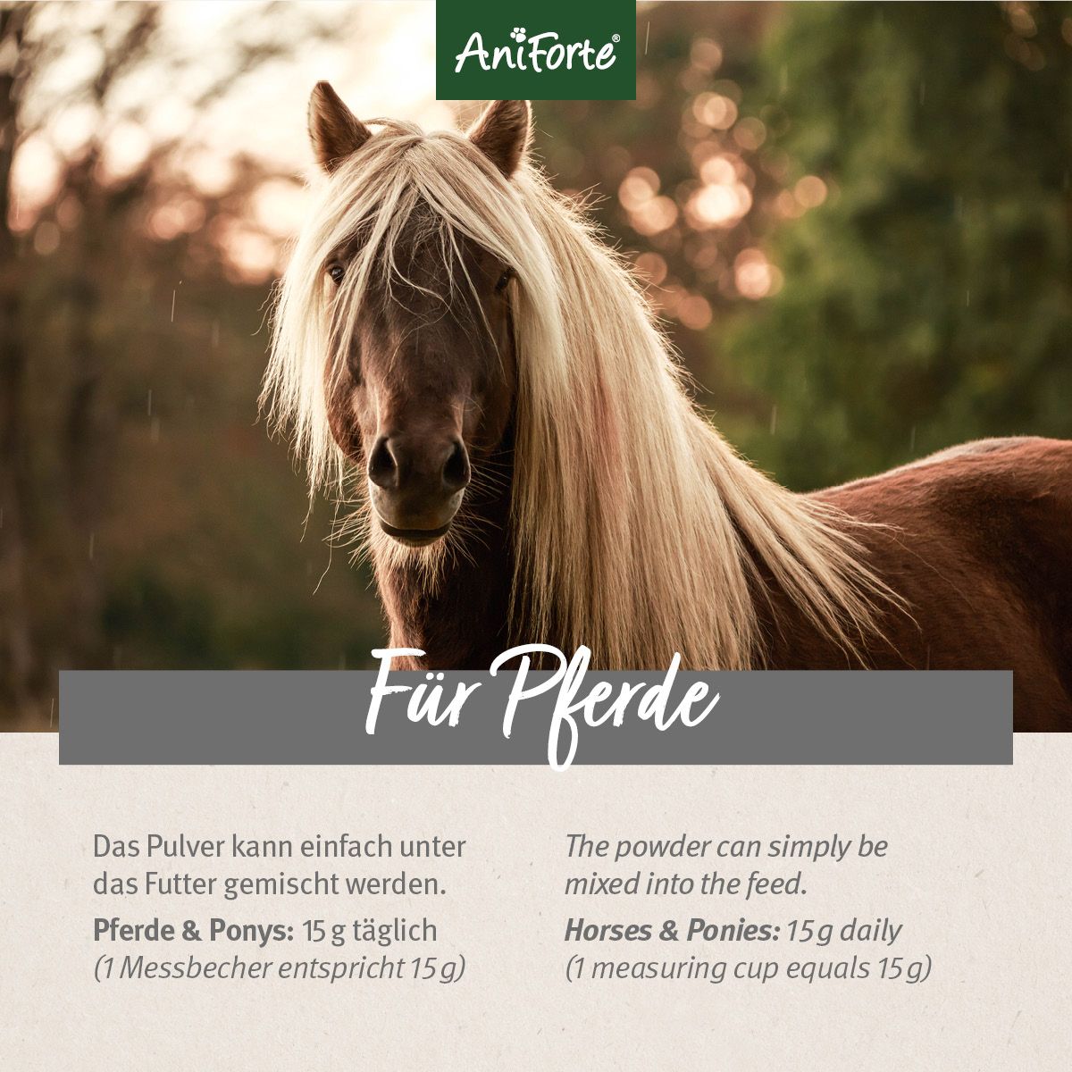 AniForte Ägyptische Schwarzkümmelsamen