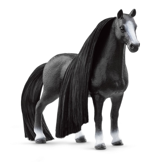 HORSE CLUB - Beauty Horse - Quarter Horse Stute