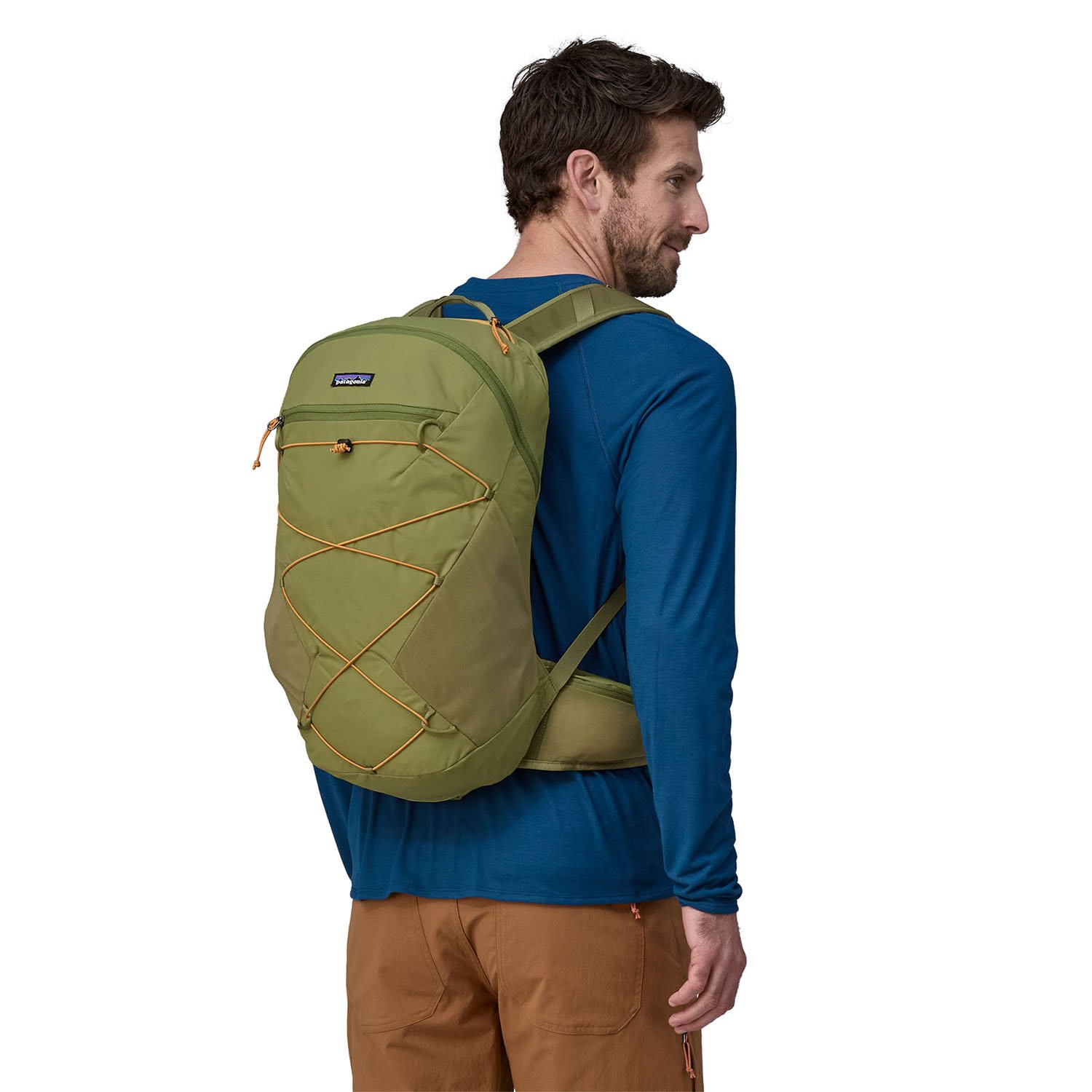 Patagonia Terravia Pack 22L M buckhorn green
