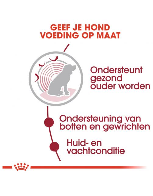 Royal Canin Medium Ageing 10+ Natvoer - Hondenvoer - 140 g