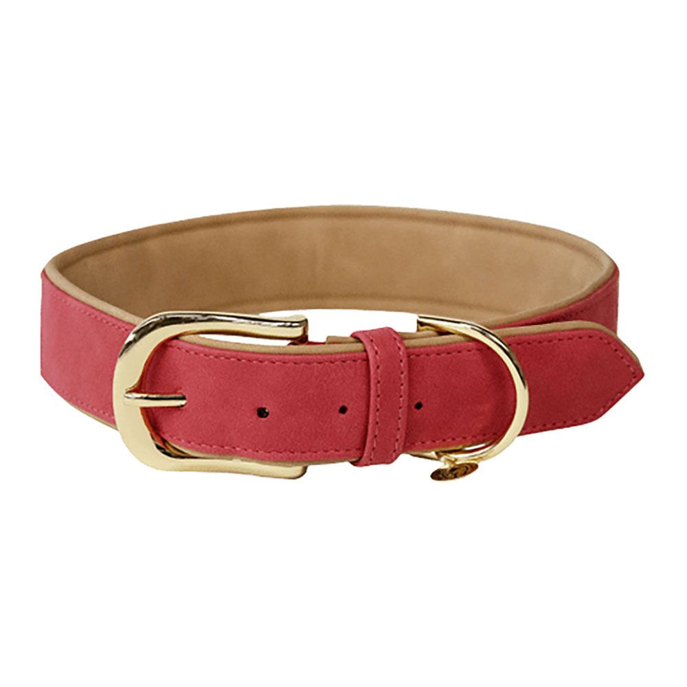Kentucky CUIR VEGAN -  Collier pour chien red/beige