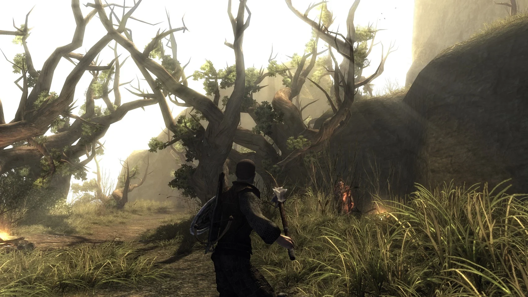 Risen- Nintendo Switch