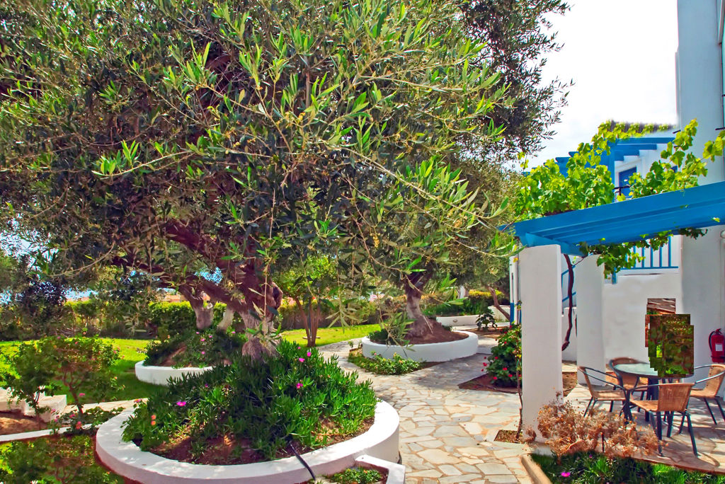 Palatia Village Logies - Appartement