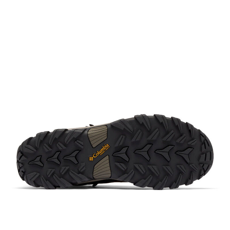 Newton Ridge Plus II Waterproof - Chaussures randonnée homme