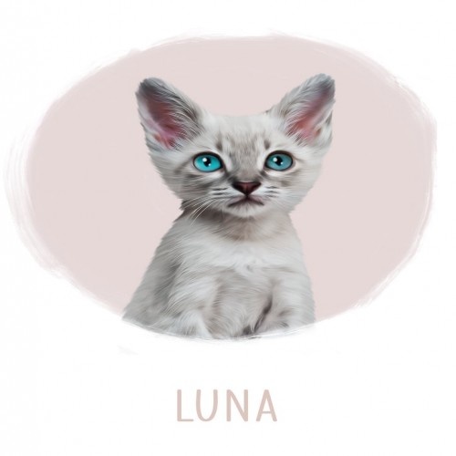 Retrato realista e personalizado do seu animal de estimação em uma impressão rosa claro.